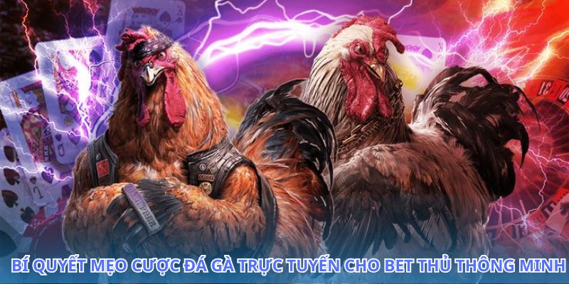 mẹo cược đá gà trực tuyến giảm thiểu rủi ro