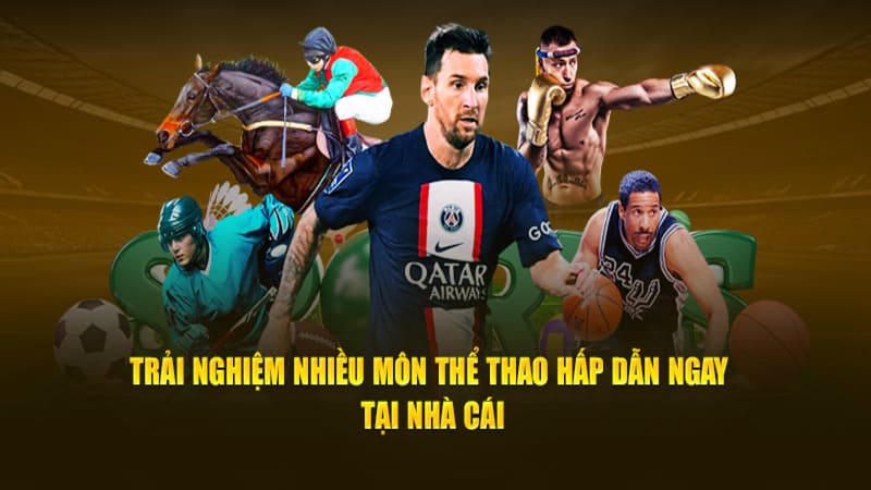 thể thao tại king88